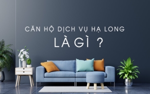 Căn Hộ Dịch Vụ Hạ Long Là Gì ? Căn Hộ Dịch Vụ Hạ Long Là Gì ?