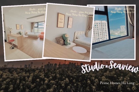 Homestay Studio View Biển Bãi Cháy GD-2726