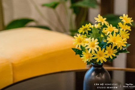 Homestay Studio View Biển Bãi Cháy GD-307