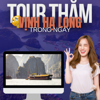 Đặt Tour Thăm Vịnh Trong Ngày