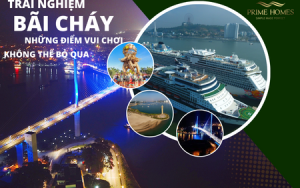 Du Lịch Bãi Cháy Những Điểm Đến Không Thể Bỏ Qua