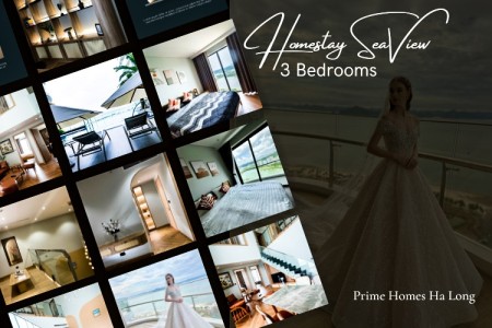Homestay Hạ Long 3 PN Bãi Cháy  - View Biển CT3010