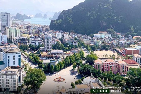 Homestay Hạ Long  Studio - SP 3131