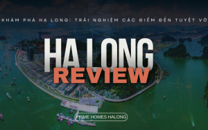 Khám Phá Hạ Long Trải Nghiệm Các Điểm Đến Không Thể Bỏ Qua Khám Phá Hạ Long Trải Nghiệm Các Điểm Đến Không Thể Bỏ Qua
