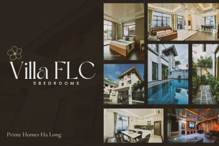 Villa Hạ Long FLC 5 PN - (925)