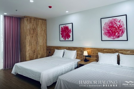 Villa Hạ Long 7 PN - Harbor Bay - Bãi Cháy (114)