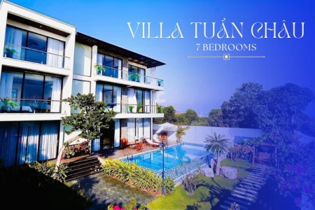 Biệt Thự Tuần Châu - 7 Phòng Ngủ (B) Biệt Thự Tuần Châu - 7 Phòng Ngủ (B)